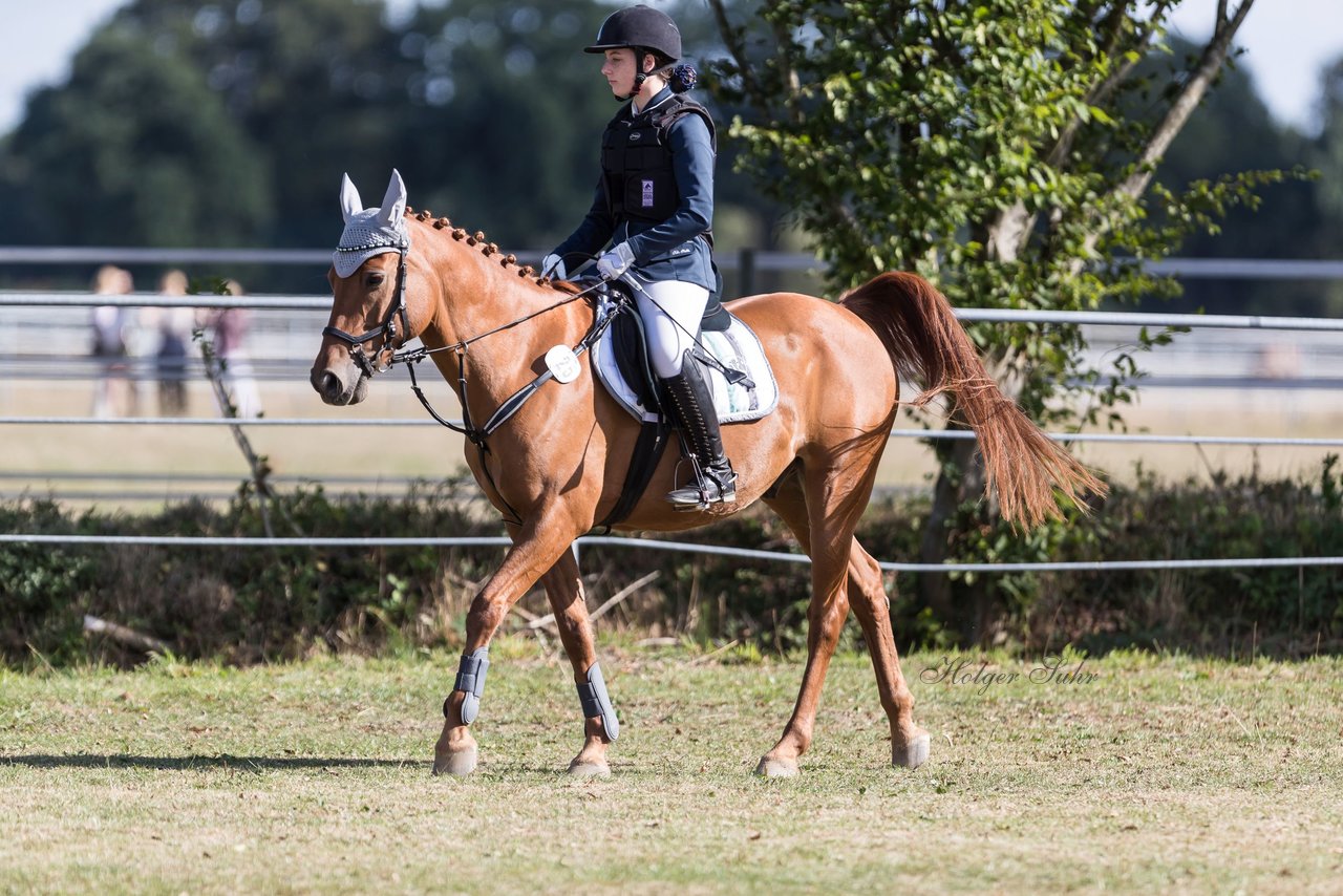 Bild 6 - Pony Akademie Turnier